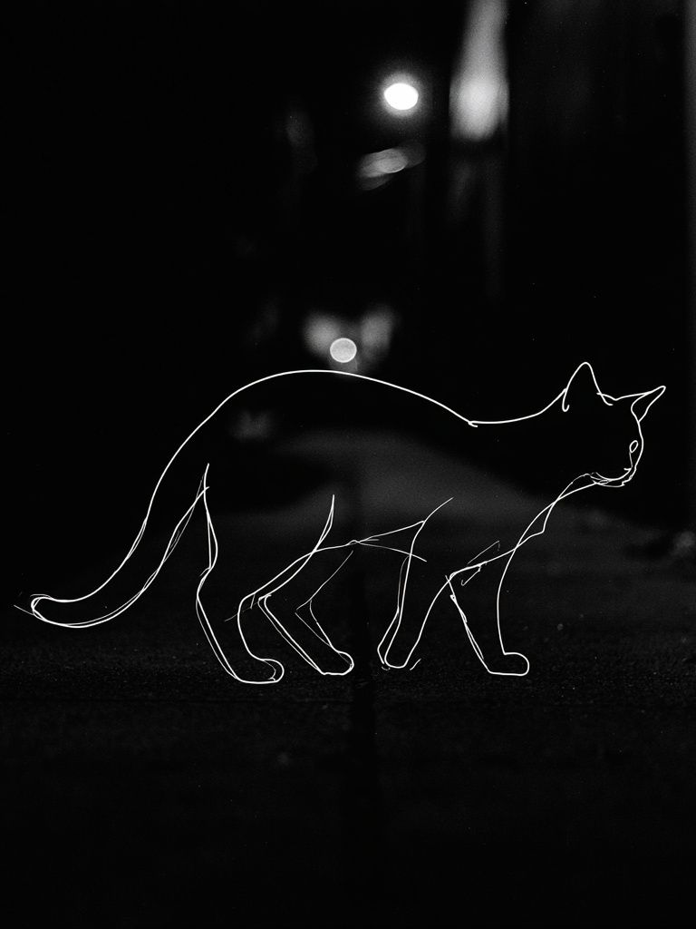 Cat Line Art Poster. poster detail
