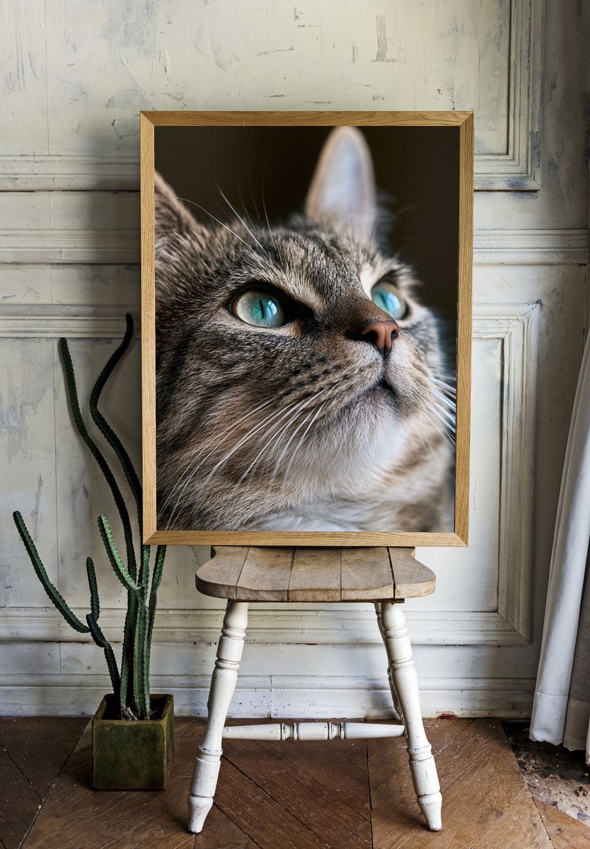 Tabby Cat Portrait Poster. — room view 1