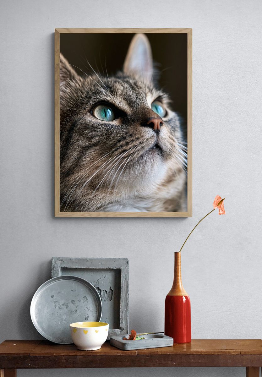 Tabby Cat Portrait Poster. — room view 3