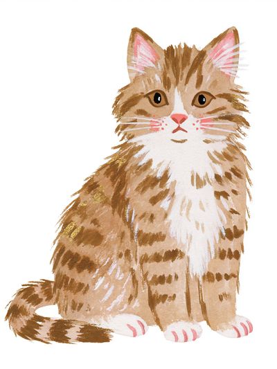 Watercolor Tabby Cat Poster. poster