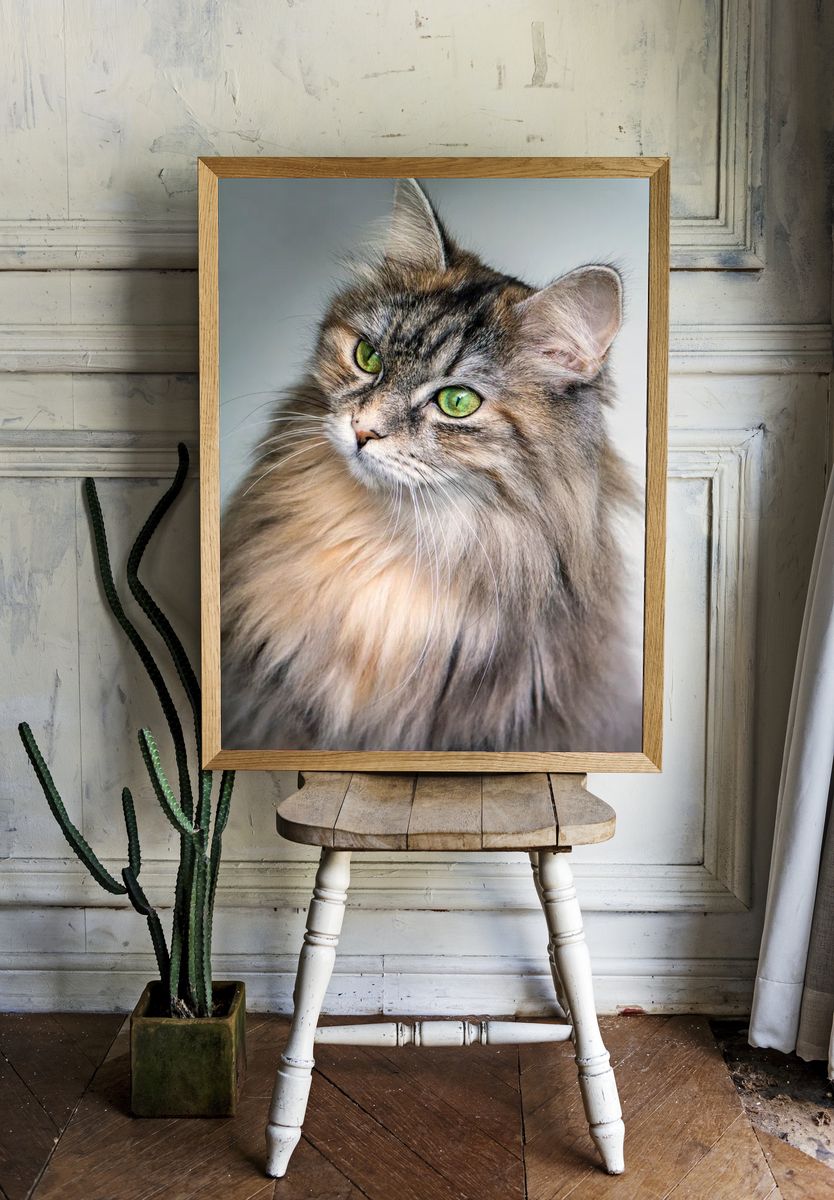 Majestic Cat Portrait Poster. — room view 1
