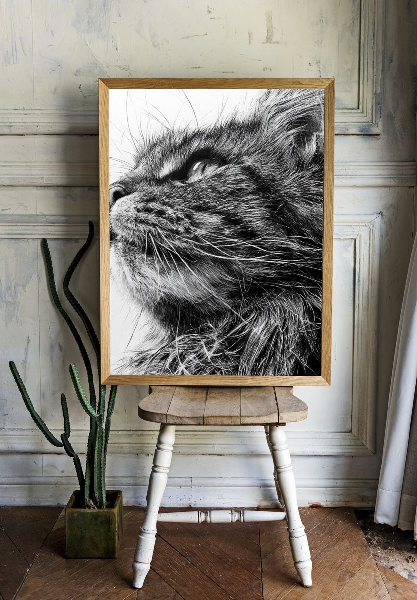 Black Cat Portrait Print. — room view 1