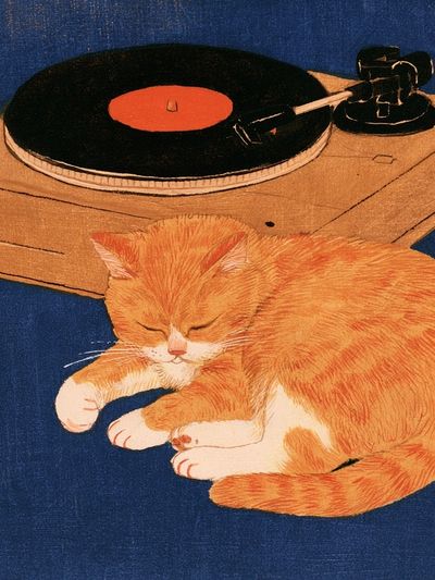 Sleeping Cat and Turntable Print.