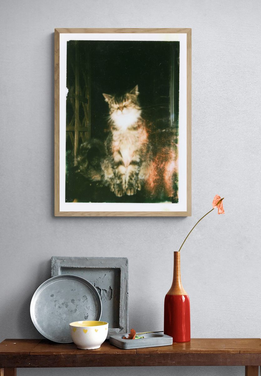 Dreamy Cat Portrait Poster. — room view 3