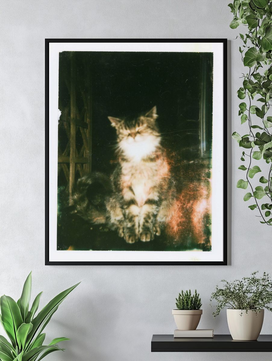 Dreamy Cat Portrait Poster. — room view 4