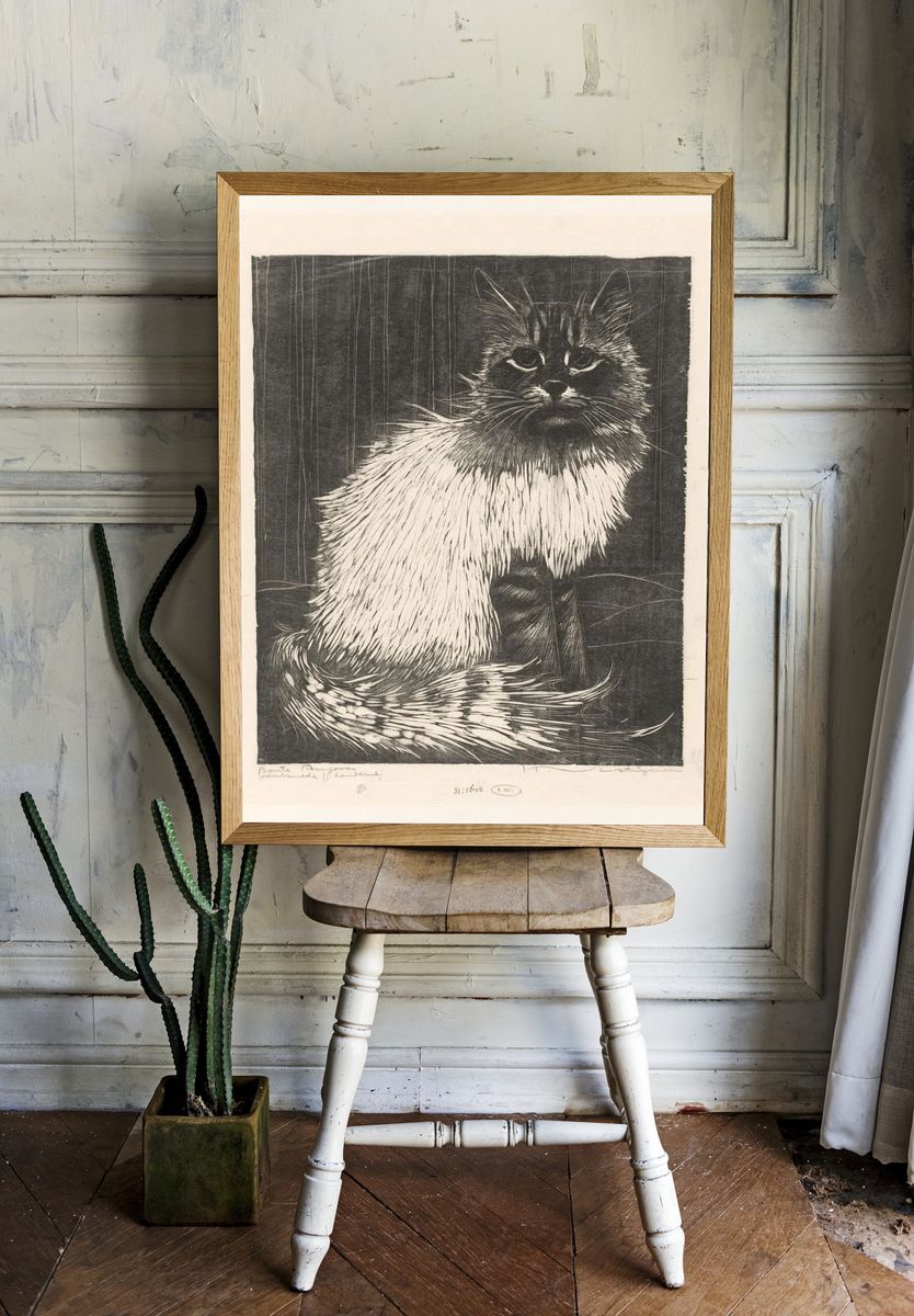 Siamese Cat Etching Print room preview