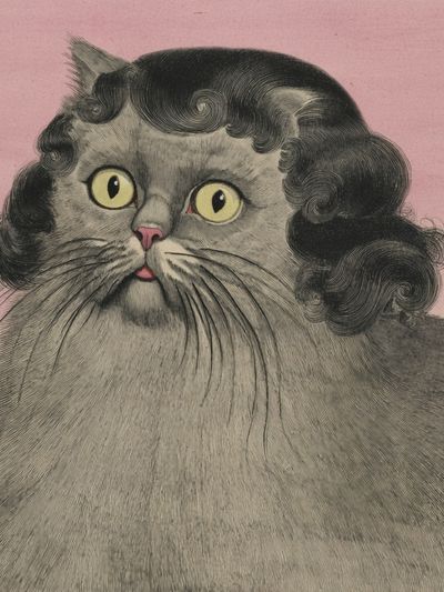 Curly Cat Portrait Illustration Poster. poster print