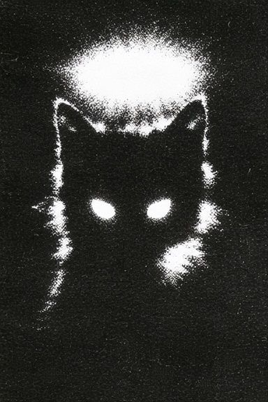 Glowing Cat Silhouette Poster. poster detail