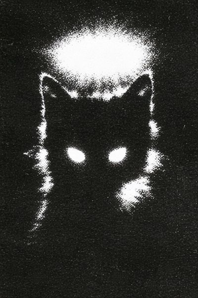 Glowing Cat Silhouette Poster.