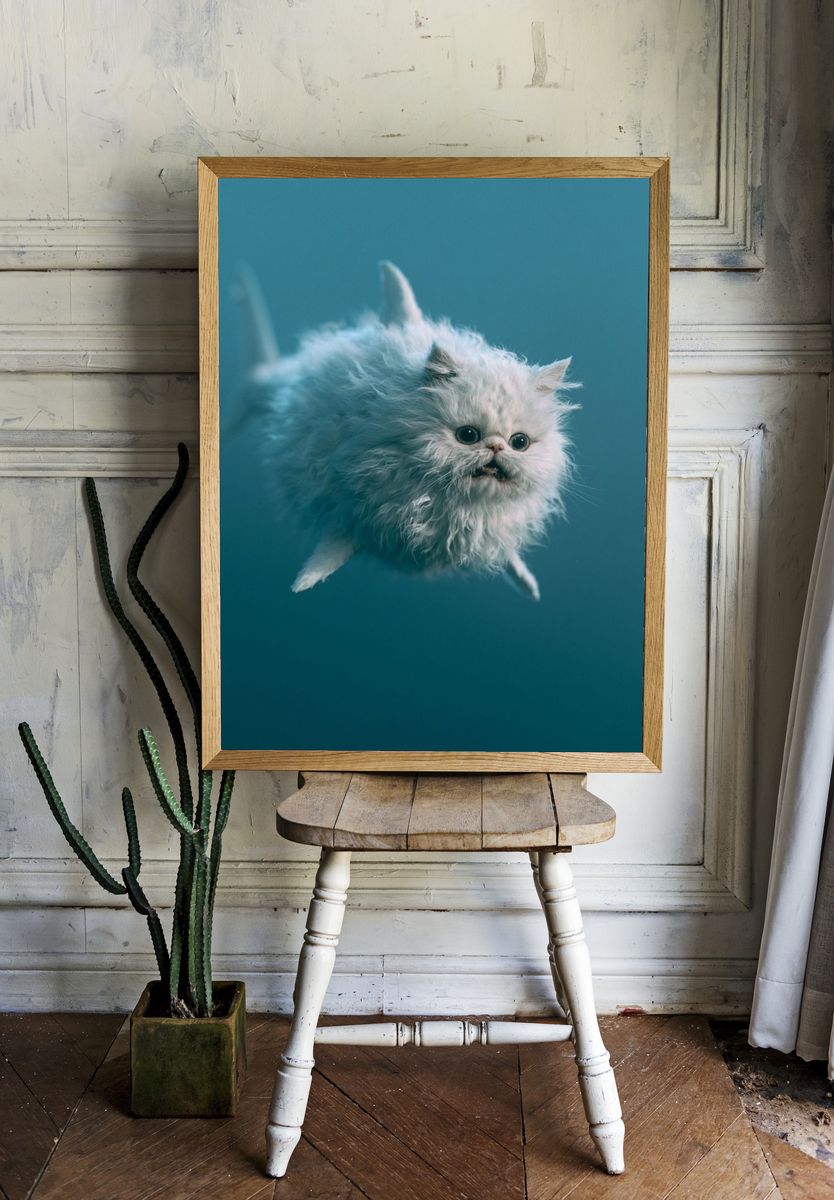 Fluffy White Cat Photography Poster. — room view 1