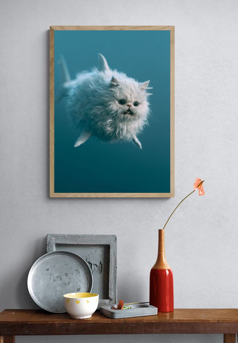 Fluffy White Cat Photography Poster. — room view 3