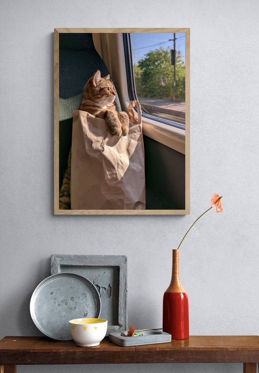 Cat on Train Seat Photography Poster. — room view 3