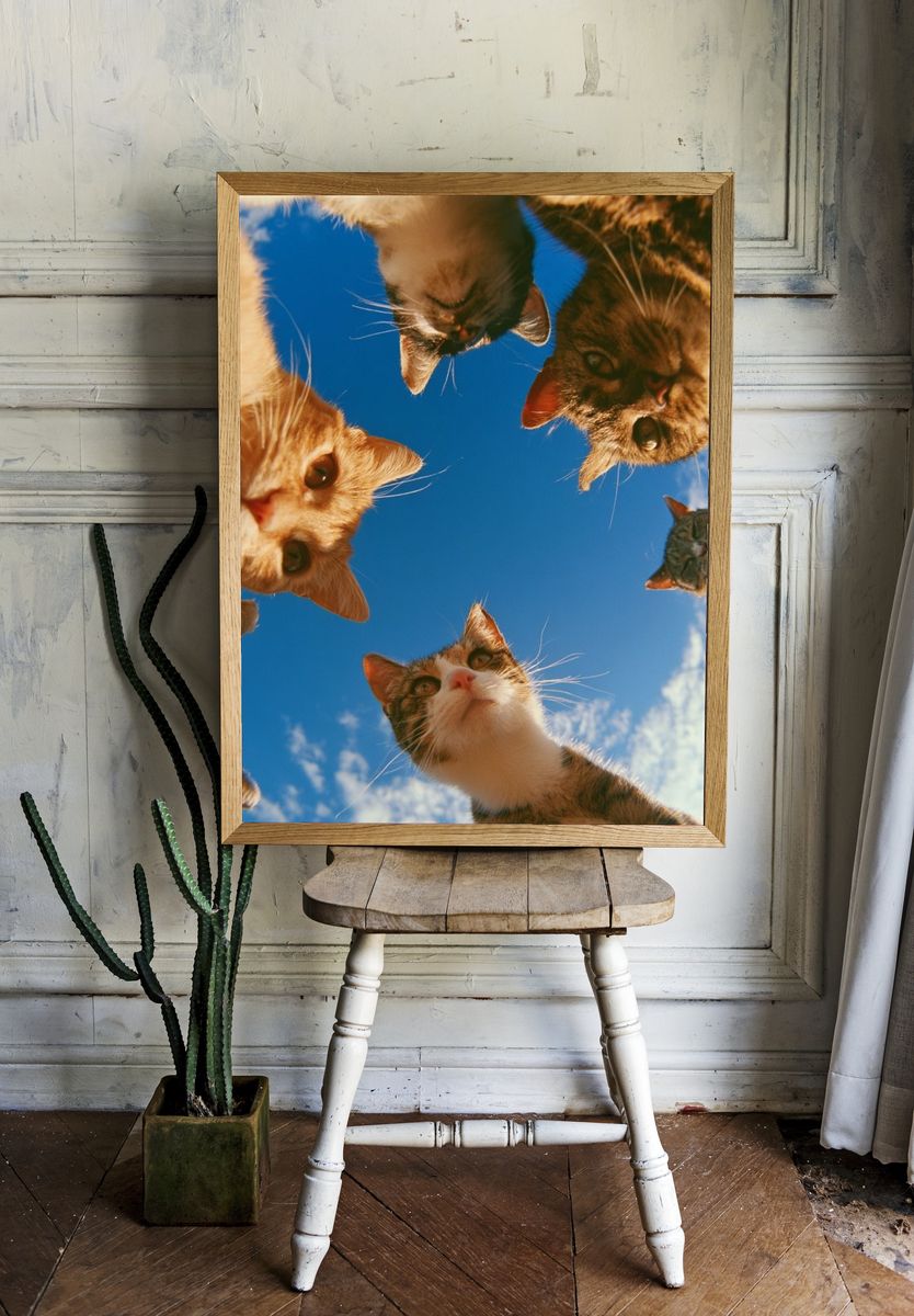 Curious Cats Under Blue Sky Poster. — room view 1