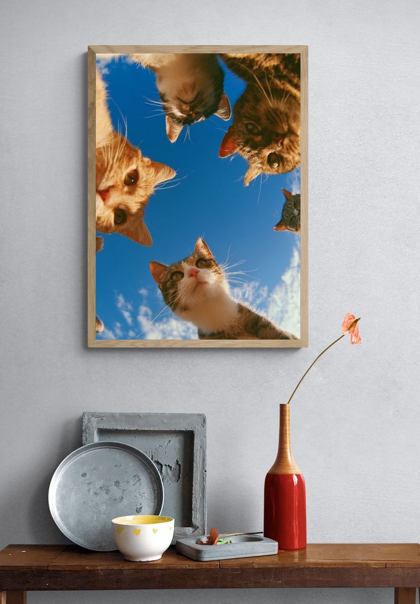 Curious Cats Under Blue Sky Poster. — room view 3