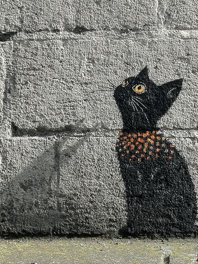 Black Cat with Orange Spots — Street Art Print. poster