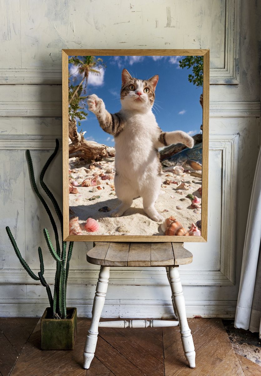 Playful Beach Cat Photography Poster. — room view 1
