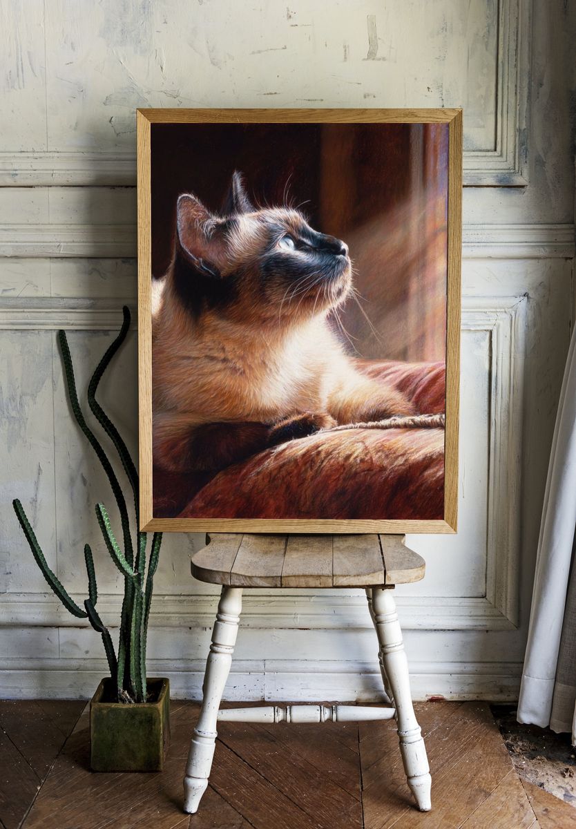 Siamese Cat Sunlit Portrait Print. — room view 1
