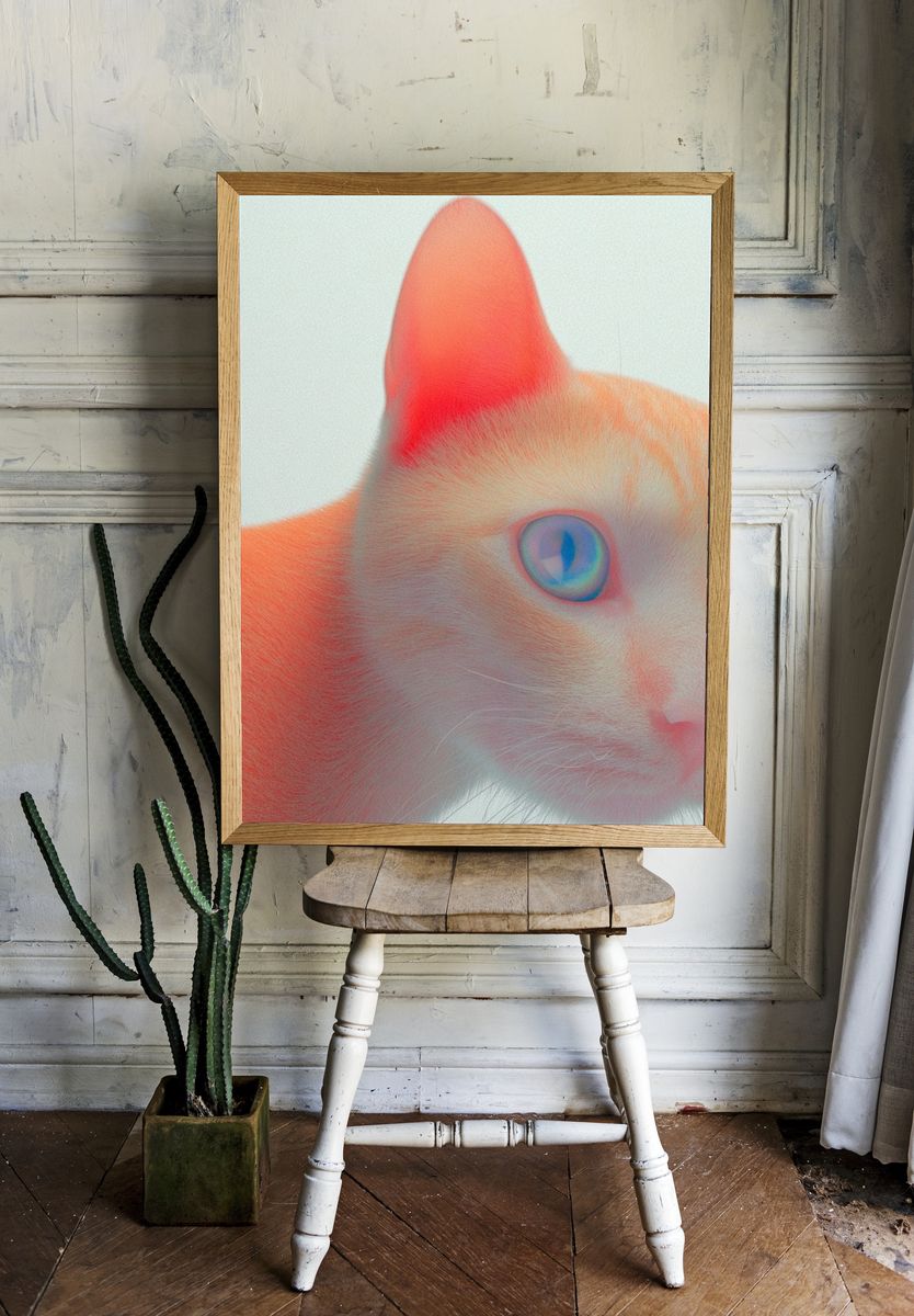 Orange Cat Close-Up — Digital Art Print. — room view 1