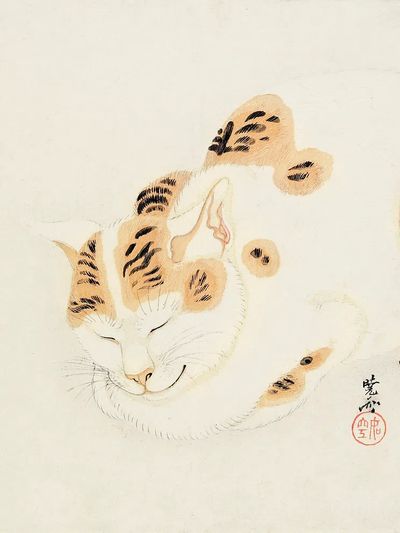 Sleeping Cat Ink Illustration Poster. poster