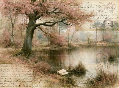 Cherry Blossom Pond Vintage Print.