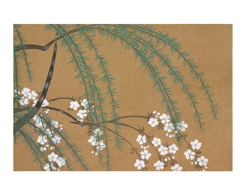 Cherry Blossom Branches — Botanical Print. poster — botanical art