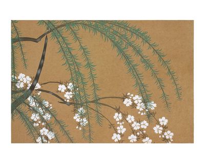 Cherry Blossom Branches — Botanical Print. poster print
