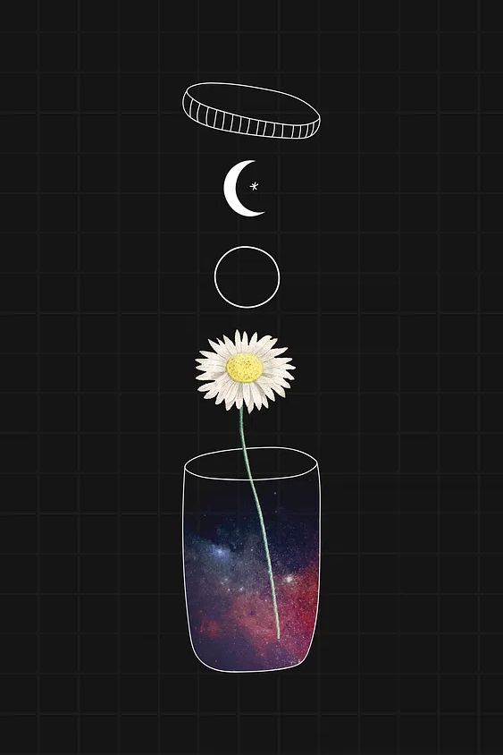 Cosmic Daisy — Illustration Print. poster detail