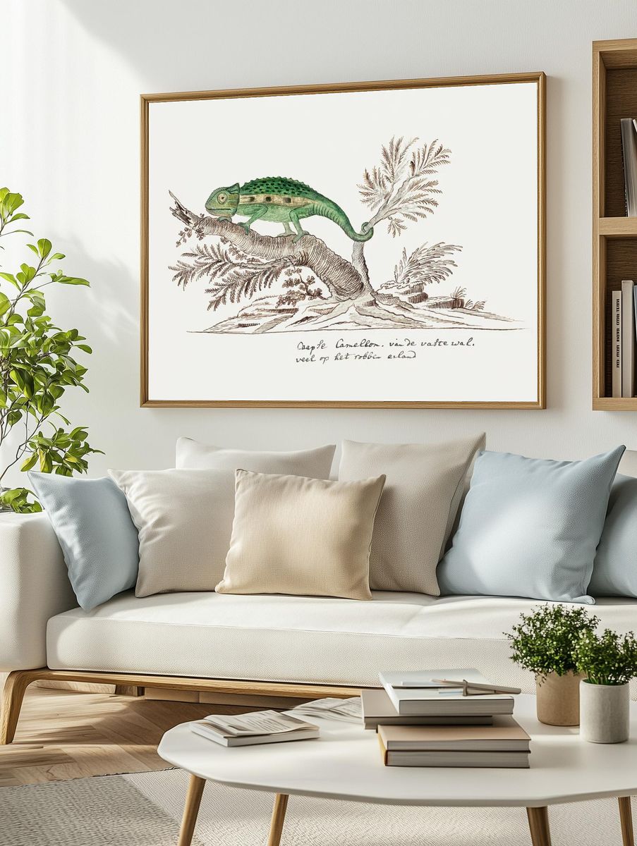 Bradypodion pumilum: cape dwarf chameleon. — room view 2