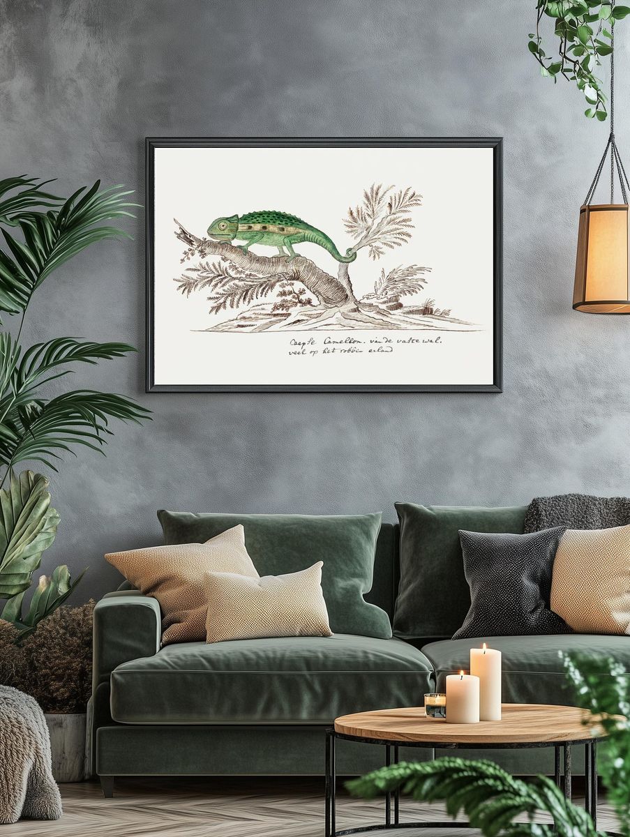 Bradypodion pumilum: cape dwarf chameleon. — room view 4