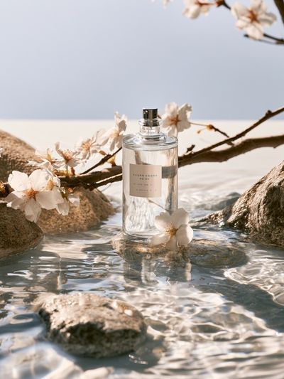 Cherry Blossom Perfume Still Life Poster.