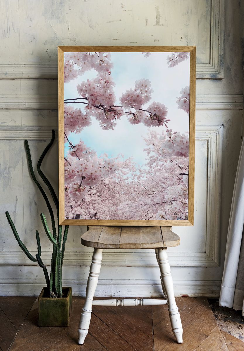 Portland Waterfront Cherry Blossoms, United. — room view 1