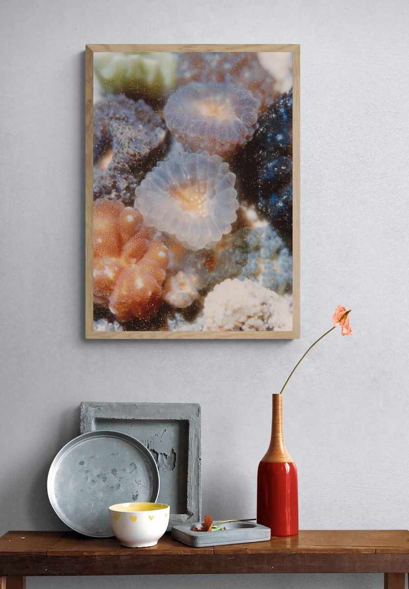 Underwater Coral Reef Poster. — room view 3