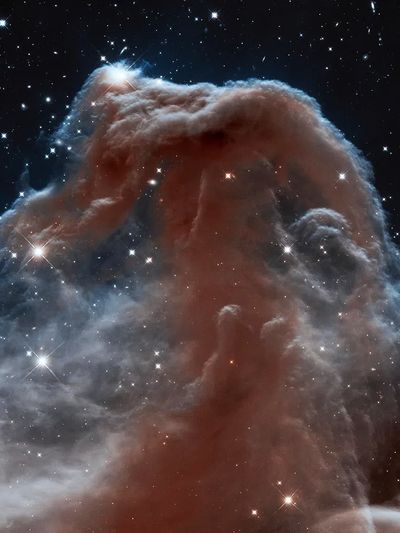 Backlit wisps along Horsehead Nebula's. poster print