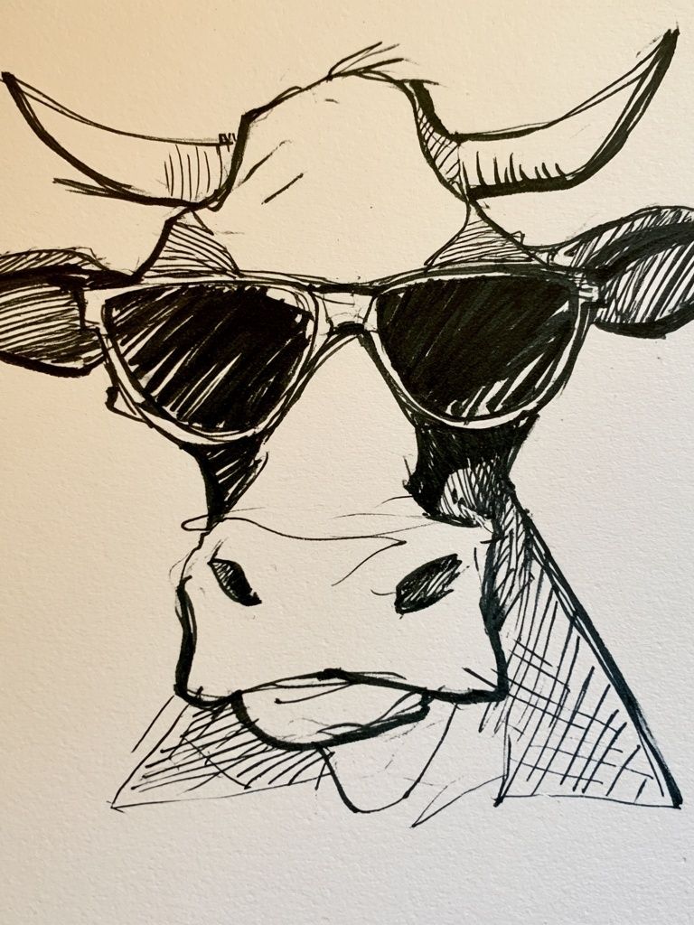 Cool Cow Sketch Poster. poster — animals art