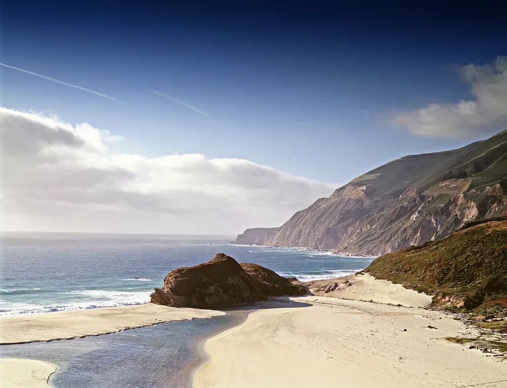 Coastal Landscape — Nature Print. poster detail