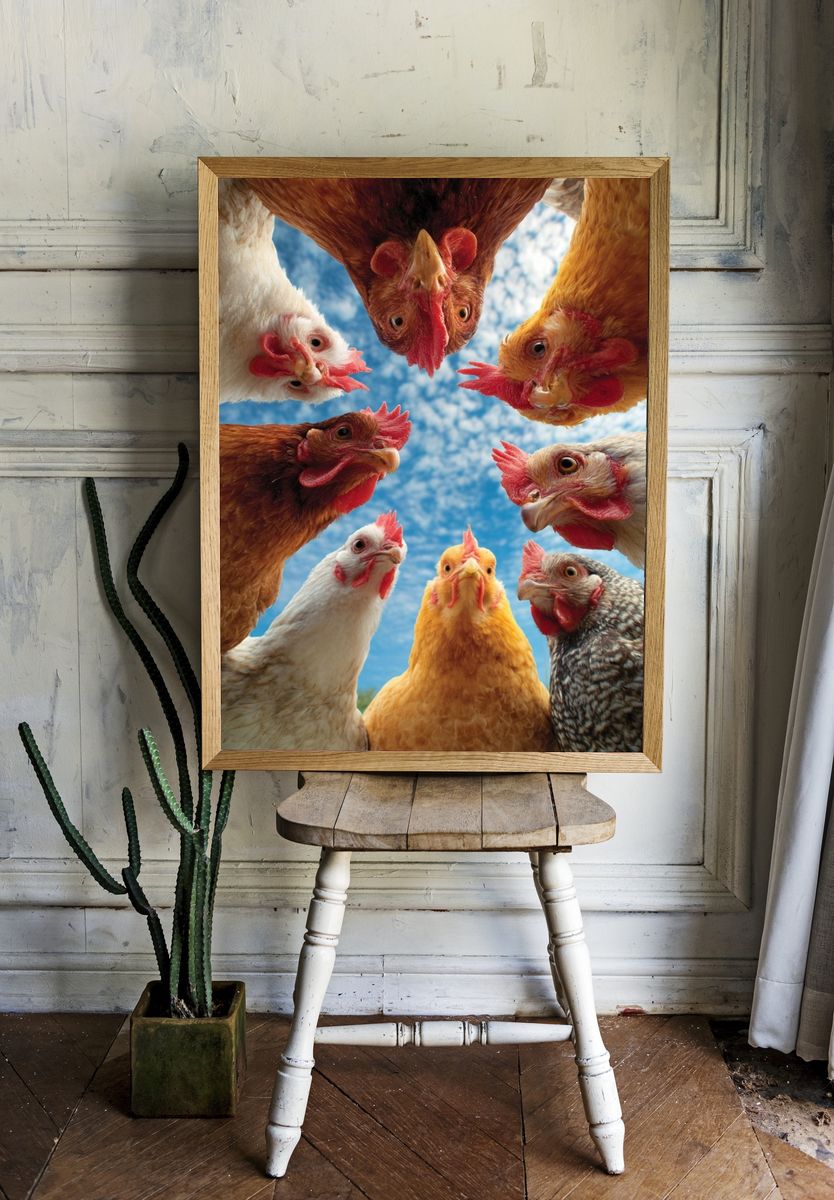 Chickens in a Circle — Animal Photography Print. room preview