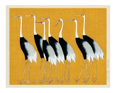 Flock Japanese red-crowned crane vintage. poster
