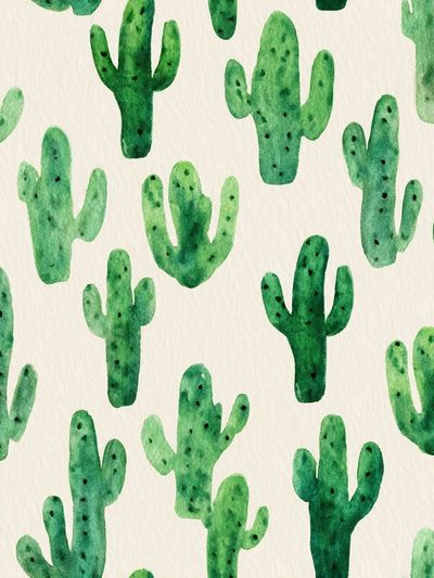 Cactus Watercolor Botanical Print. poster print