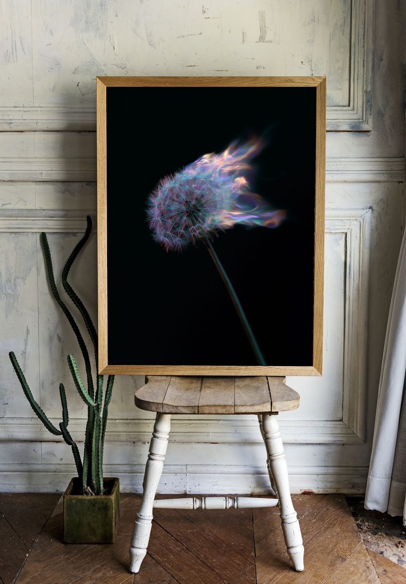 Glowing Dandelion Abstract Poster. room preview
