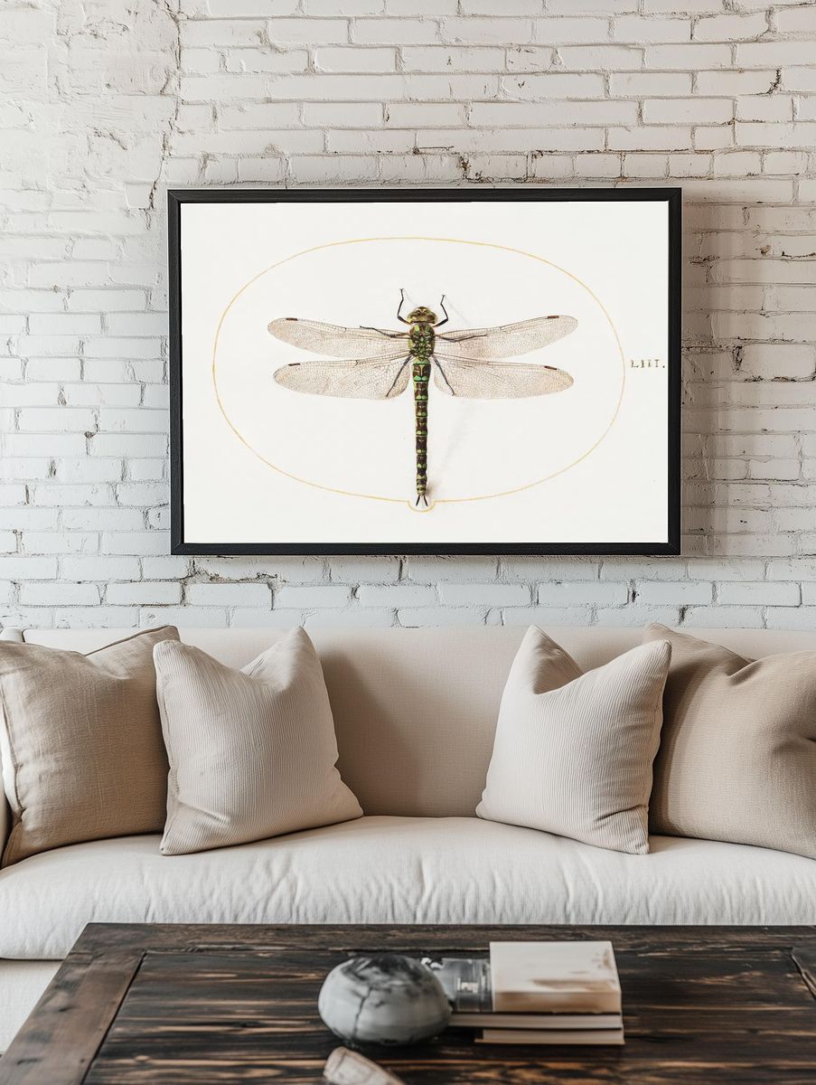 Dragonfly (1575–1580) painting high resolution. room preview