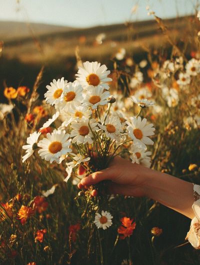 Daisy Bouquet — Nature Print. poster