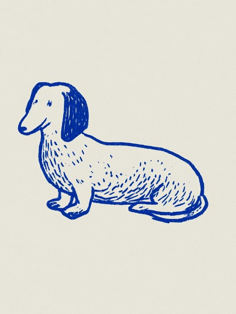Blue Dachshund Line Art Poster. poster — illustration art