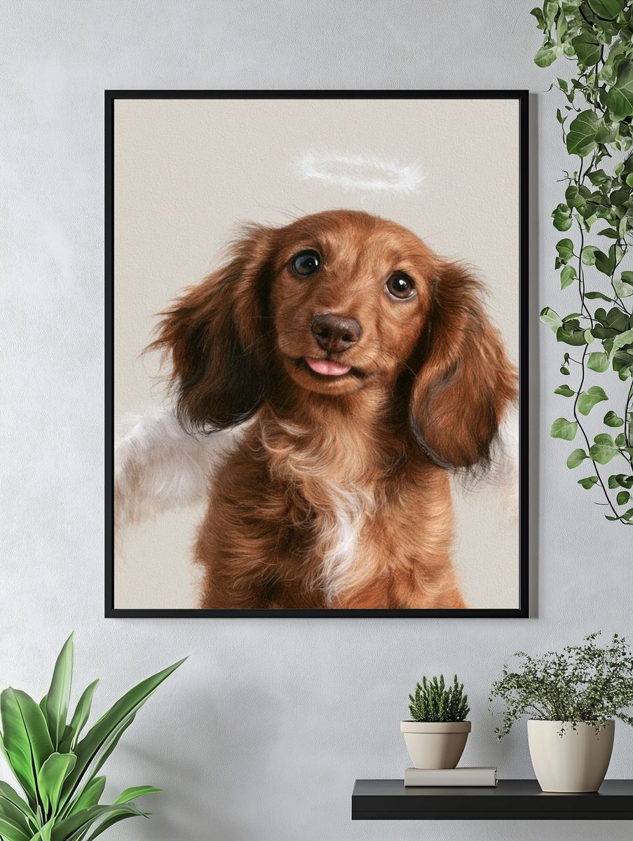 Dachshund Portrait Photography Poster. — room view 4