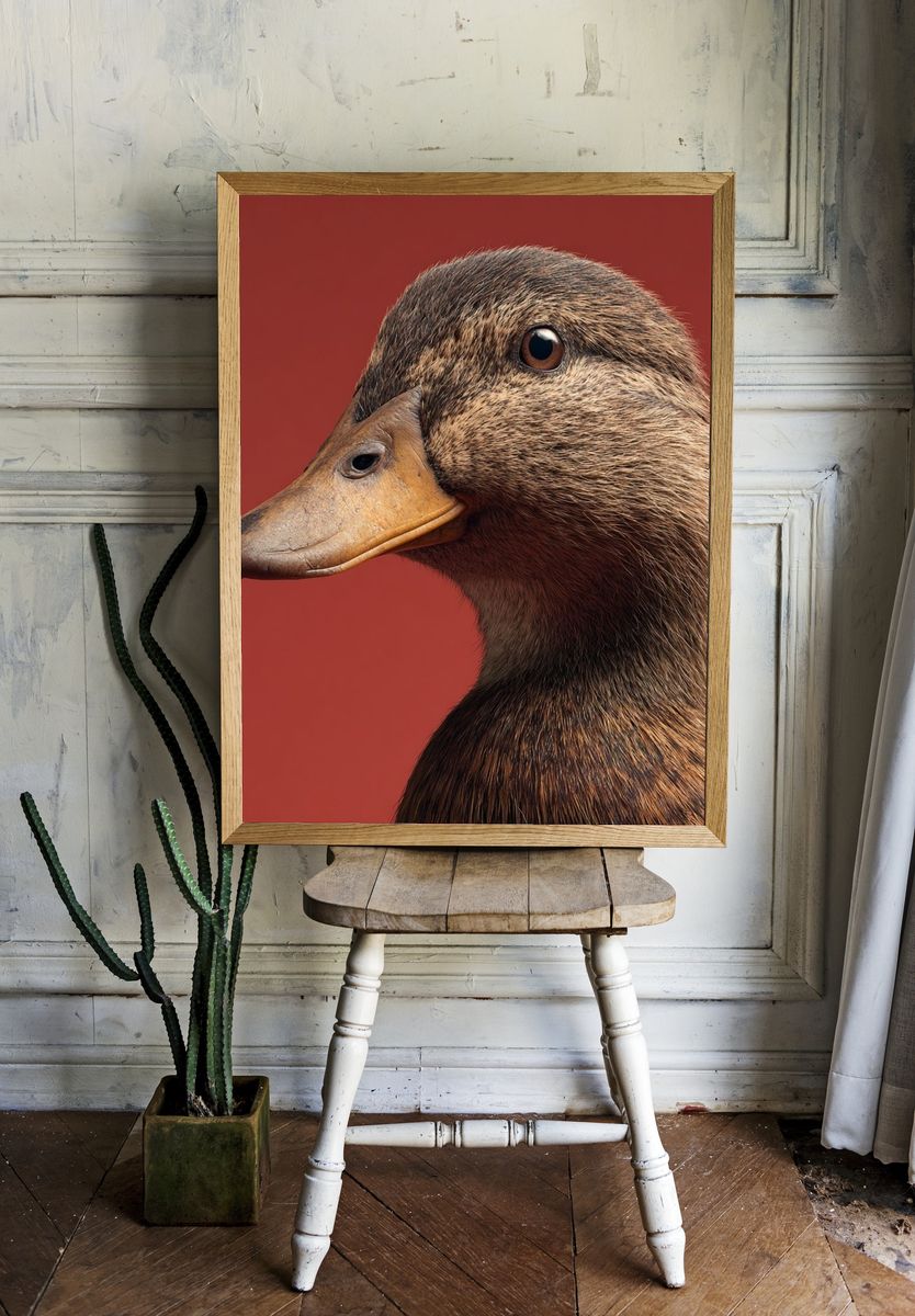 Duck Portrait Poster. — room view 1