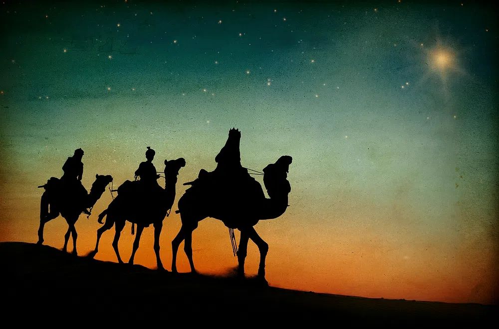 Desert Camel Caravan Sunset Poster. poster — nature art