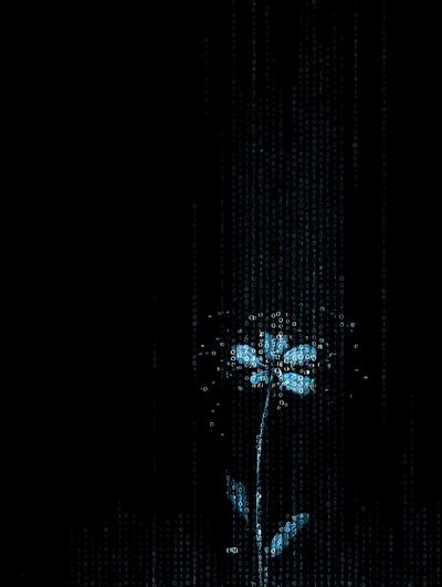 Digital Flower — Abstract Print. poster print