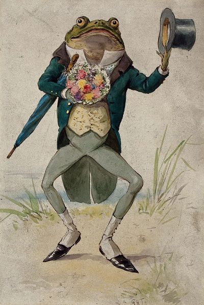 Dapper Frog with Flowers — Vintage Print. poster