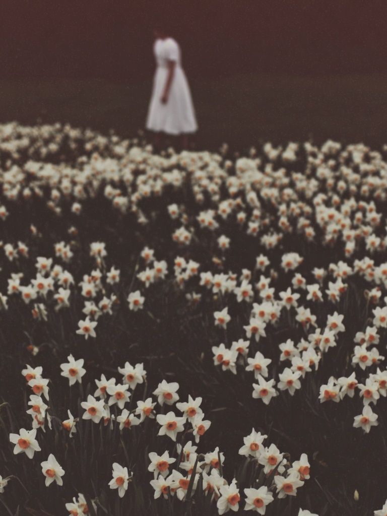 Daffodil Field with Figure — Photography Print. poster — photography art