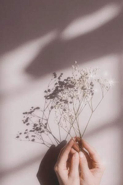 Delicate Flower Shadows — Photography Print. poster