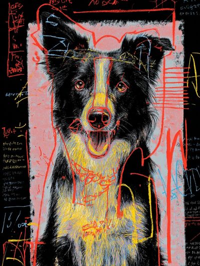 Colorful Dog Portrait Poster. poster
